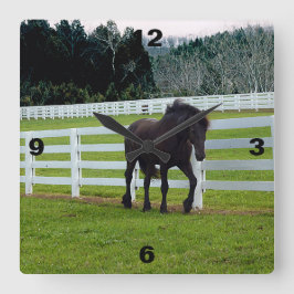 Relógio Quadrado Nonesuch no Cedar Point