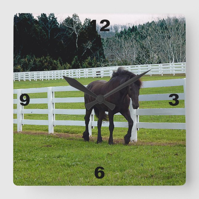 Relógio Quadrado Nonesuch no Cedar Point (Frente)