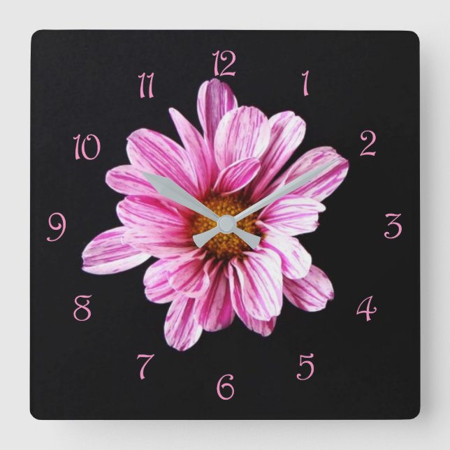Relógio Quadrado Números de Script Rosa da Flor Chrysanthemum wcnm (Frente)