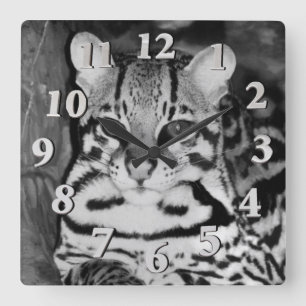 Relógio Quadrado Ocelot no Repose