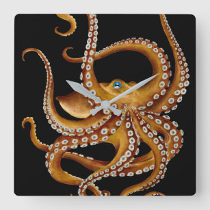 Relógio Quadrado Octopus Azul Olho Negro