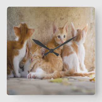 Relógio Quadrado Orange and White Tabby Kitten/Add Your Pet's Photo