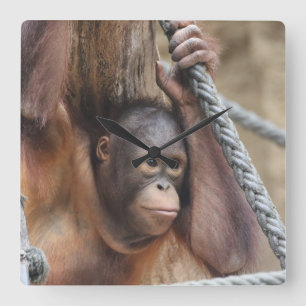 Relógio Quadrado OringUtan 002