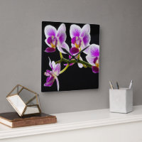 Orquídea branca e roxa