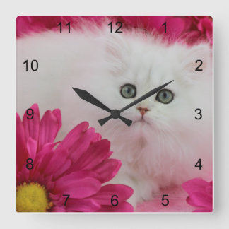 Relógio Quadrado Os gatos, gatinhos, personalizam, rosa quente,