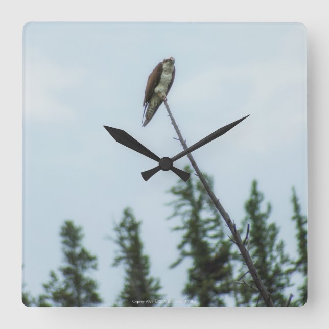 Relógio Quadrado Osprey 9028 (Frente)