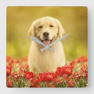 Relógio Quadrado Ouro para sempre nas flores vermelhas