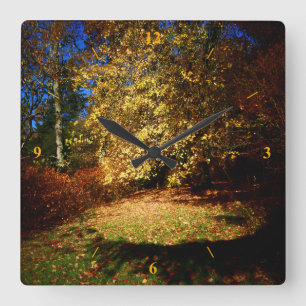 Relógio Quadrado Outono Blast na caminhada Stourhead.