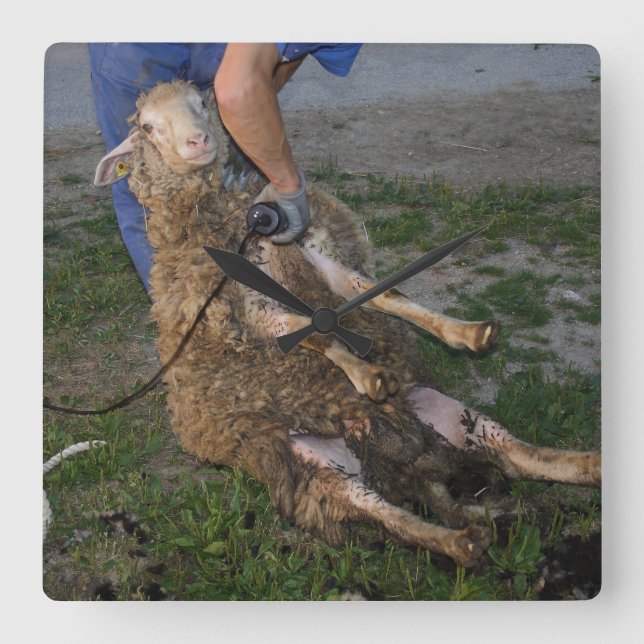 Relógio Quadrado Ouvintes (Frente)