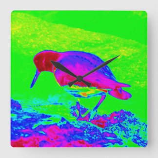 Relógio Quadrado Oyster Catcher