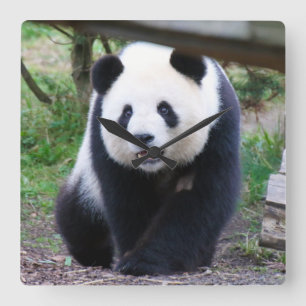 Relógio Quadrado Panda_20190301_by_JAMFoto