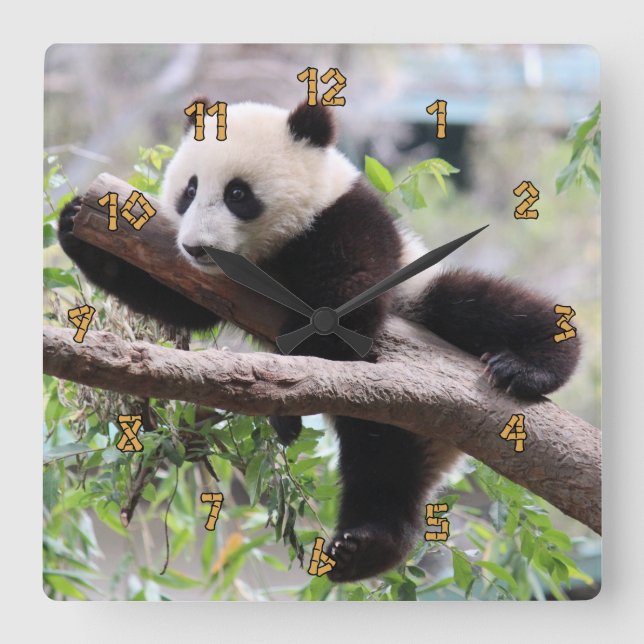 Relógio Quadrado Panda Cub (Frente)