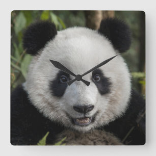 Relógio Quadrado Panda nova feliz, China