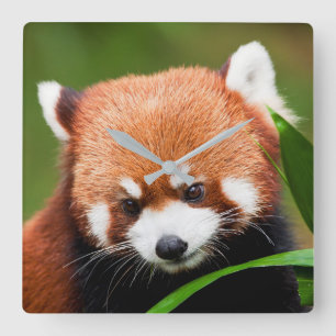 Relógio Quadrado Panda Vermelha