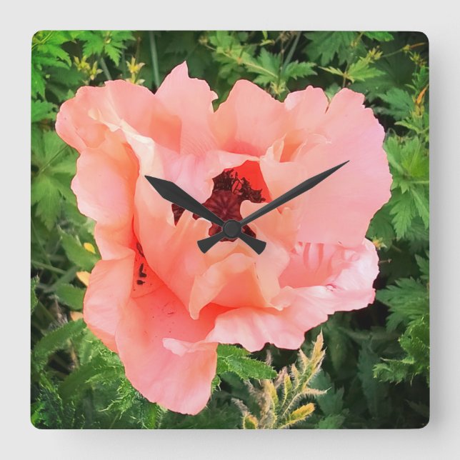 Relógio Quadrado papoila solteiro (Frente)