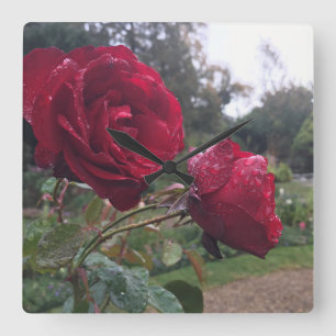 Relógio Quadrado Par da Rosa vermelha