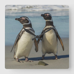 Relógio Quadrado Pares de pinguins na praia