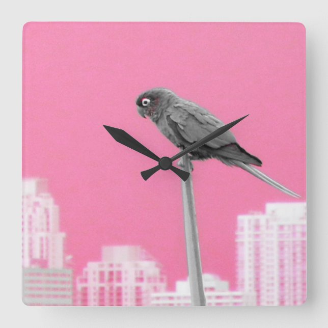Relógio Quadrado ~Parrot~ WALL CLOCK, PINK, PERSONALIZE-O! (Frente)