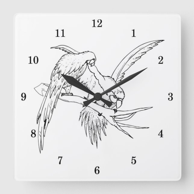 Relógio Quadrado Parrots Wall Clock muito Legal (Frente)