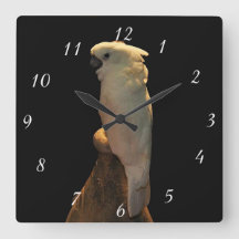 Pássaro de coquetel personalizado posando na noite