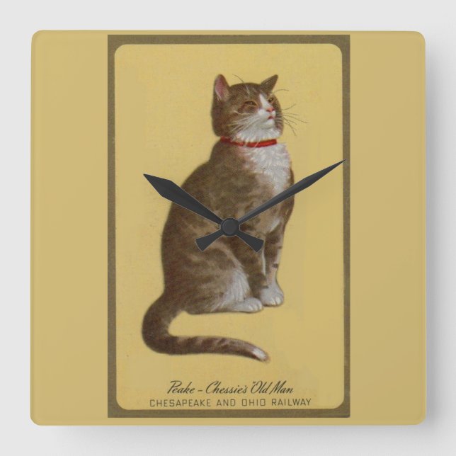 Relógio Quadrado Peake, o Velho Homem de Chessie tomcat (Frente)