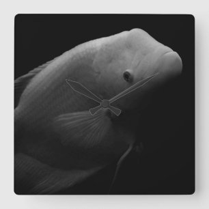 Relógio Quadrado Peixes em Tanque - Foto de Arte Negra e Branca