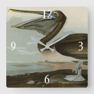 Relógio Quadrado Pelicano-marrom de Birds of America de Audubon