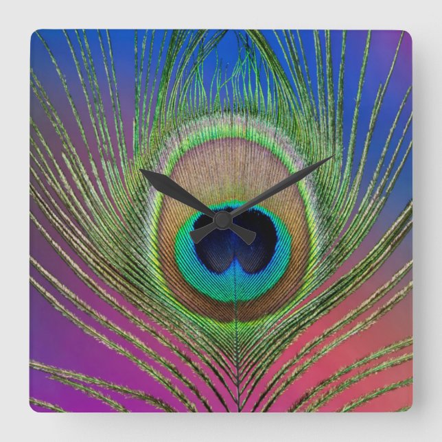 Relógio Quadrado Pena da cauda de um pavão (Frente)