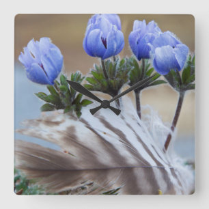 Relógio Quadrado Península de Enfermeira, Alasca, Flores Selvagens