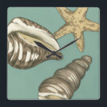 Relógio Quadrado Pequena Shell Trio no Teal<br><div class="desc">Megan Meagher é conhecida por suas simples peças de arte. Essa imagem captura a simplicidade do tesouro da costa,  de conchas e de estrelas-do-mar. Meagher engloba um fundo teal em sua imagem para contrastar esses tesouros. Obtenha este impressão de arte hoje no seu produto Zazzle hoje mesmo.</div>