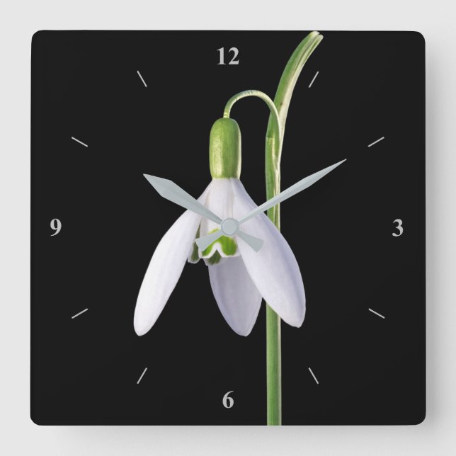 Relógio Quadrado Perfeição Solo (Frente)