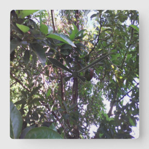 Relógio Quadrado Pessegueiro