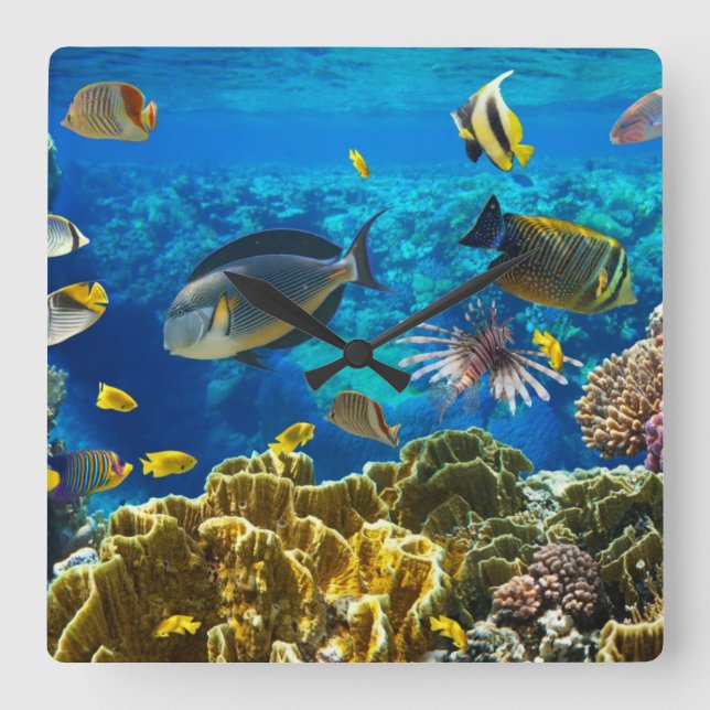 Relógio Quadrado Photo of a tropical Fish on a coral reef (Frente)