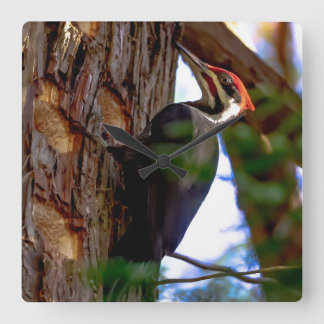 Relógio Quadrado Pica-pau pileado