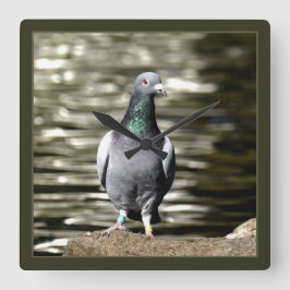 Relógio Quadrado Pigeon