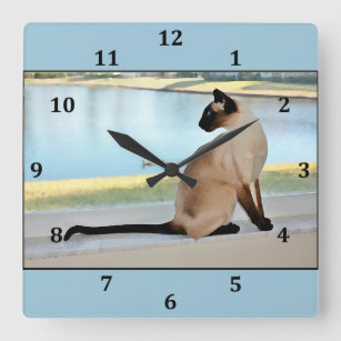 Relógio Quadrado Pintura calma do gato Siamese