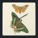 Relógio Quadrado Pintura de Borboleta Ligeiramente Bordada<br><div class="desc">Uma criação do Vision Studio,  esta pintura levemente mais borda mostra duas belas borboletas deslizando pelo ar. A execução da pintura faz os insetos parecerem surpreendentemente vivos. Pegue uma cópia e coloque na parede!</div>