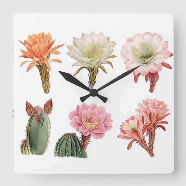Relógio Quadrado Plantas suculentas e sangrentas (Frente)