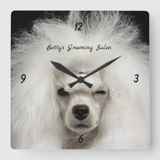 Relógio Quadrado Poodle White French Pet Salon Wall Clock (Frente)