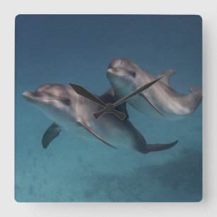 Relógio Quadrado Pose Reprodutiva