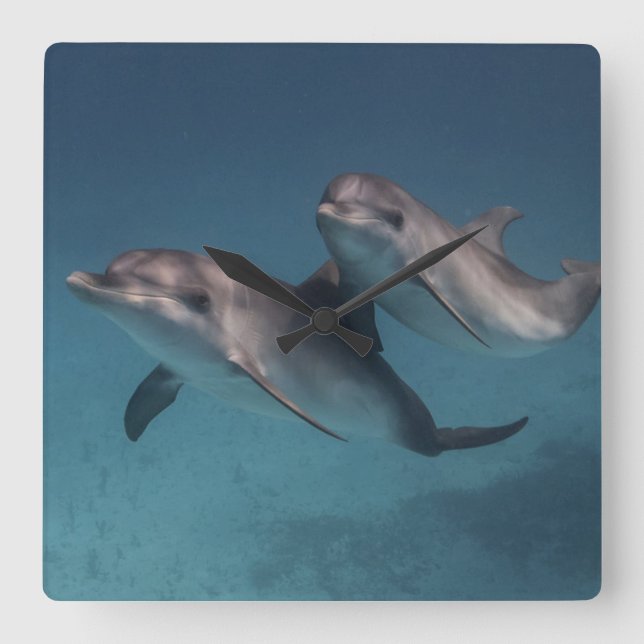 Relógio Quadrado Pose Reprodutiva (Frente)