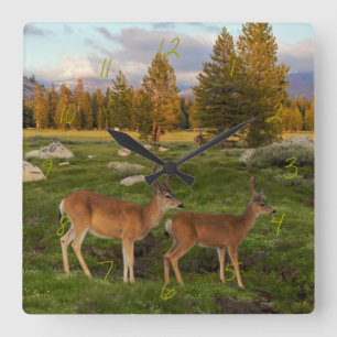 Relógio Quadrado Prado de Tuolumne, Yosemite