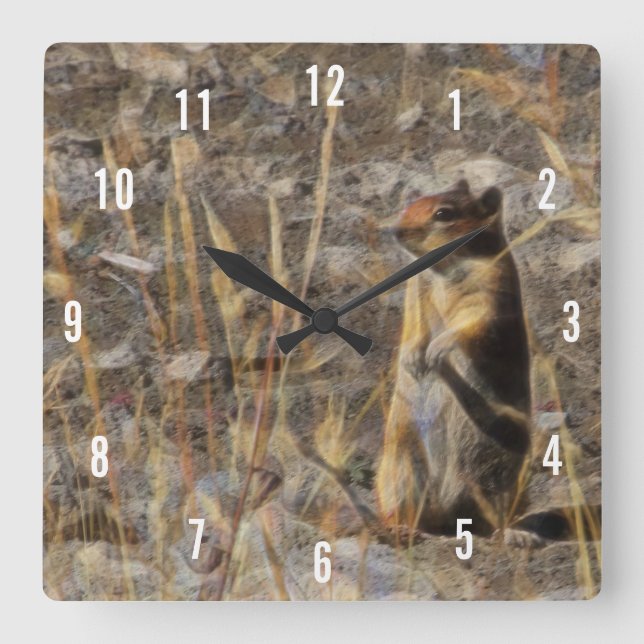 Relógio Quadrado Prairie Dog Square Clock (Frente)