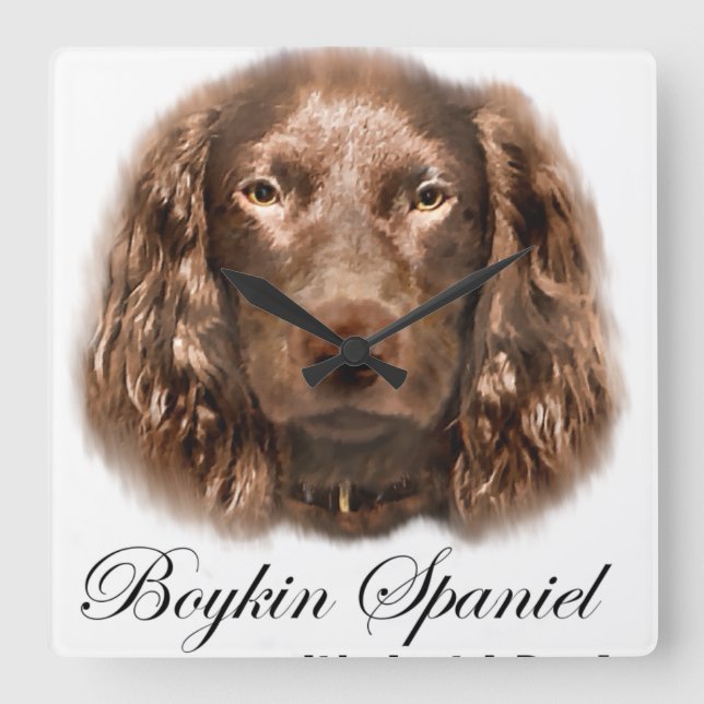 Relógio Quadrado Presentes de Boykin Spaniel (Frente)