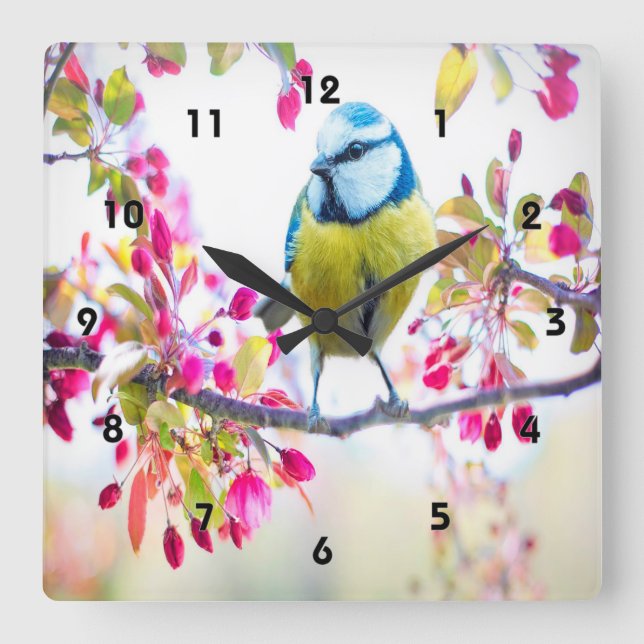 Relógio Quadrado Primavera Blue Bird (Frente)