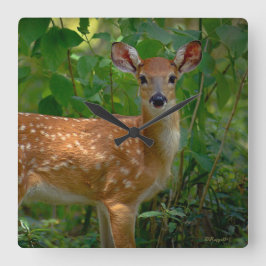 Relógio Quadrado primavera Fawn