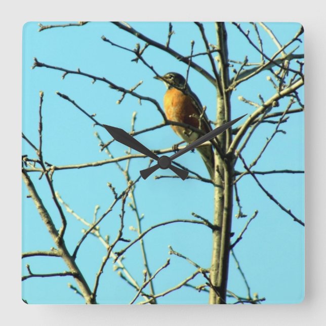 Relógio Quadrado Primavera Robin (Frente)