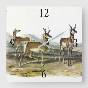 Relógio Quadrado Pronghorn (Antílope de Coroa Pong), por Audubon