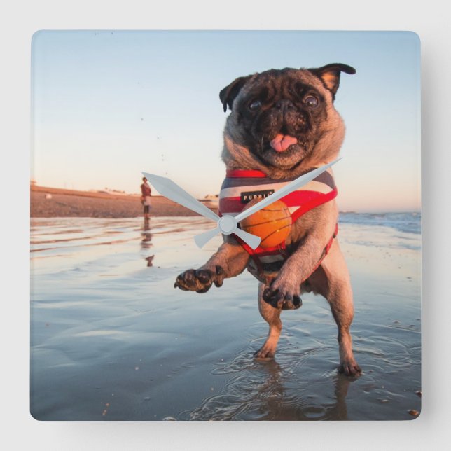 Relógio Quadrado Pug Plays Ball on Beach (Frente)