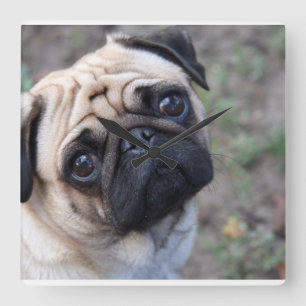 Relógio Quadrado Pug Wall Clock
